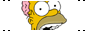 Homer with his brain out