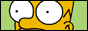Homer's eyes