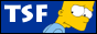 TSF