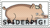 Spiderpig!