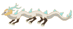 IMG_0846.png?v=1746392975534.png