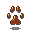 paw