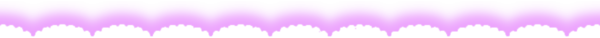 bottom divider