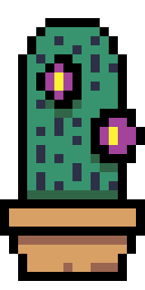Cactus Cactus
