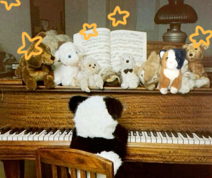 Gato piano estrellas