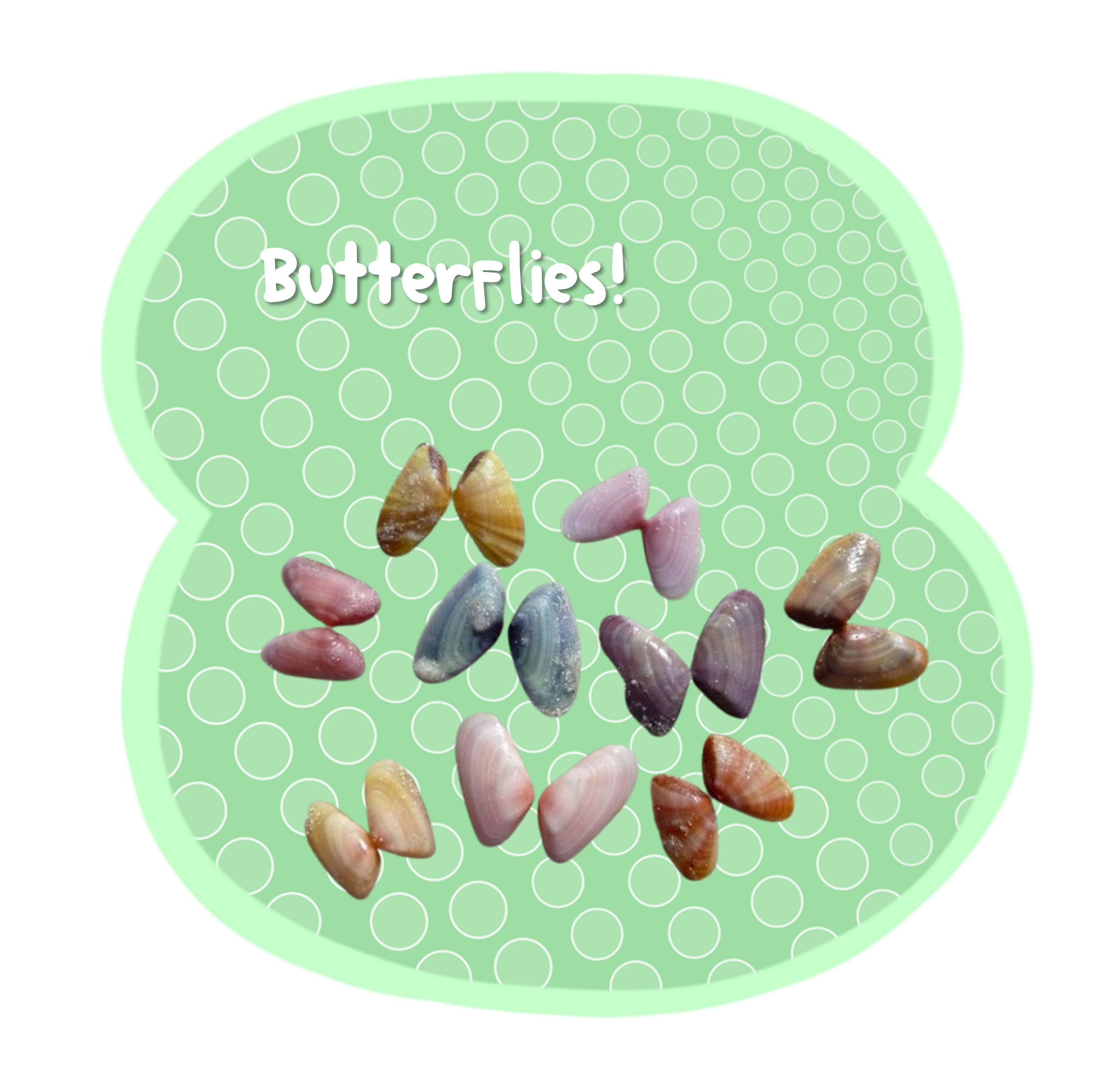 Butterflies