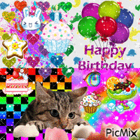 Birthday cat