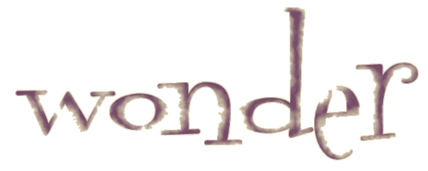 wonder