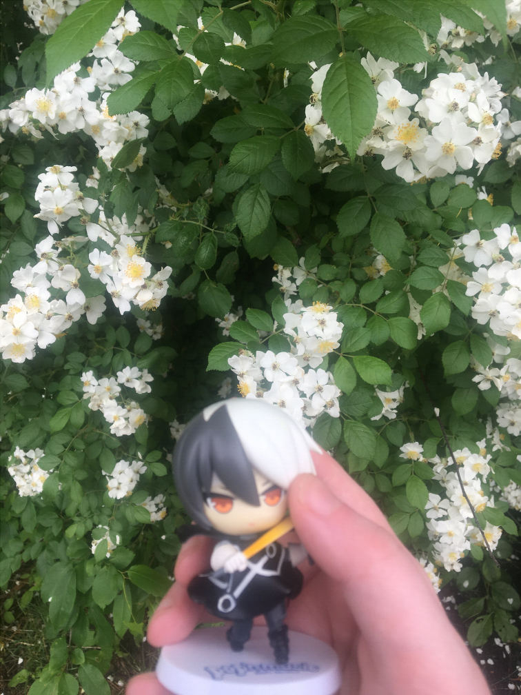 black enjoys some flowers