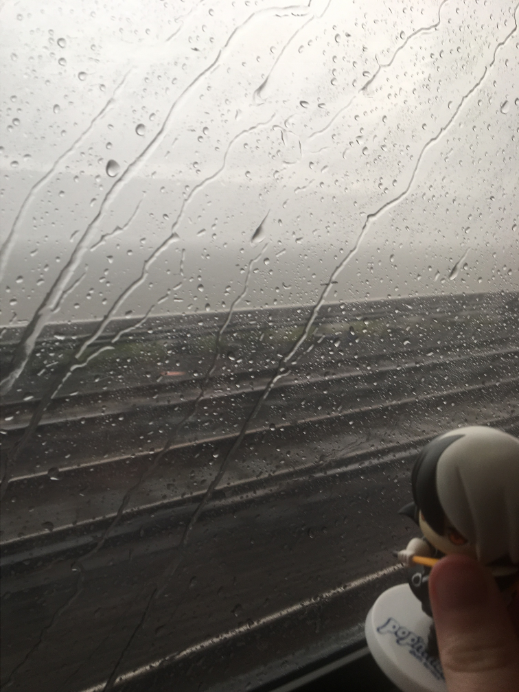 black goes on a train ride (part 3, it's raining)