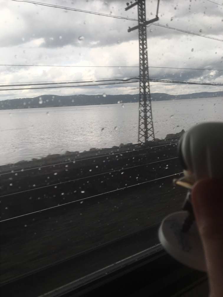black goes on a train ride (part 4, still raining)