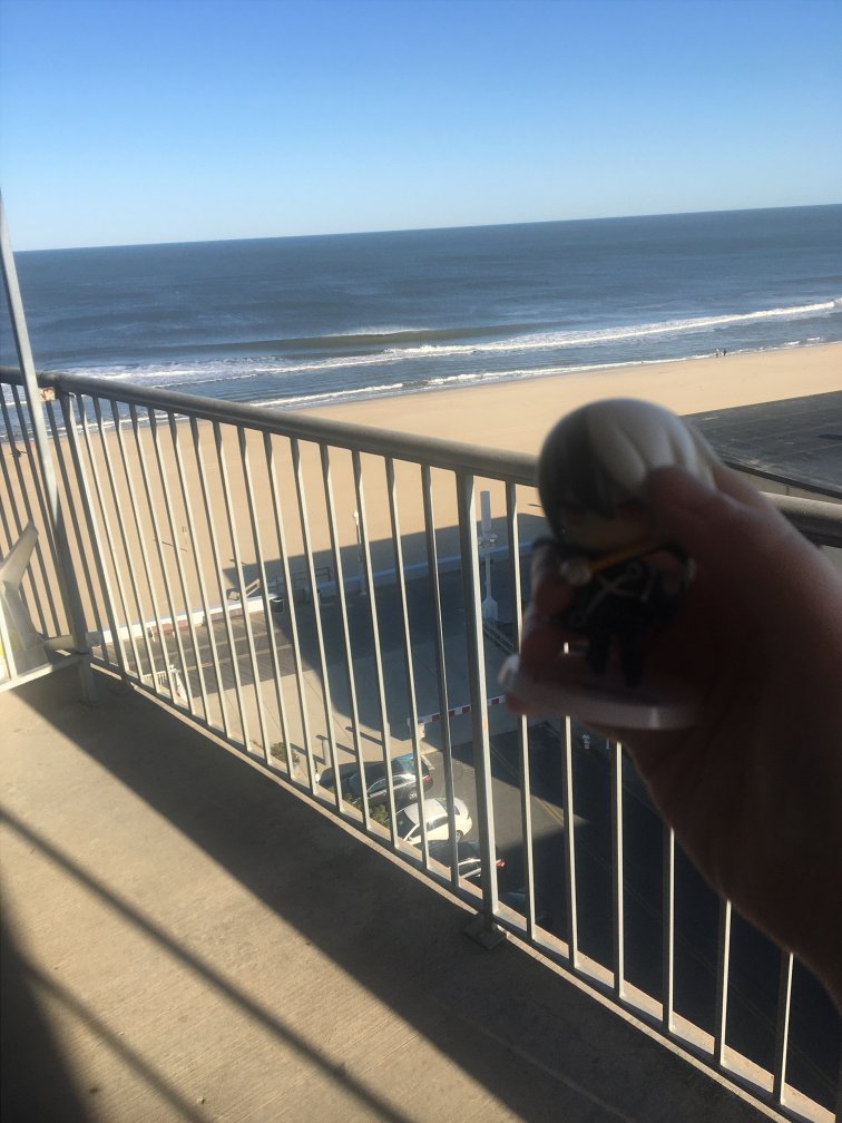 black has a nice hotel room with a beach view