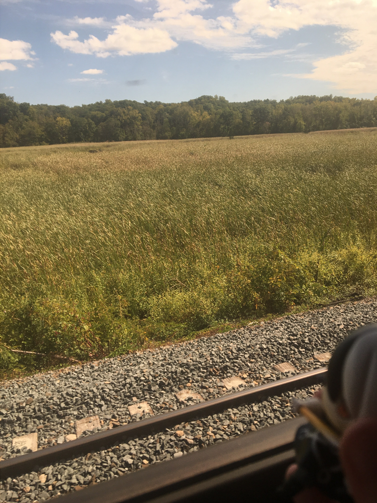 black goes on a train ride (part 1)