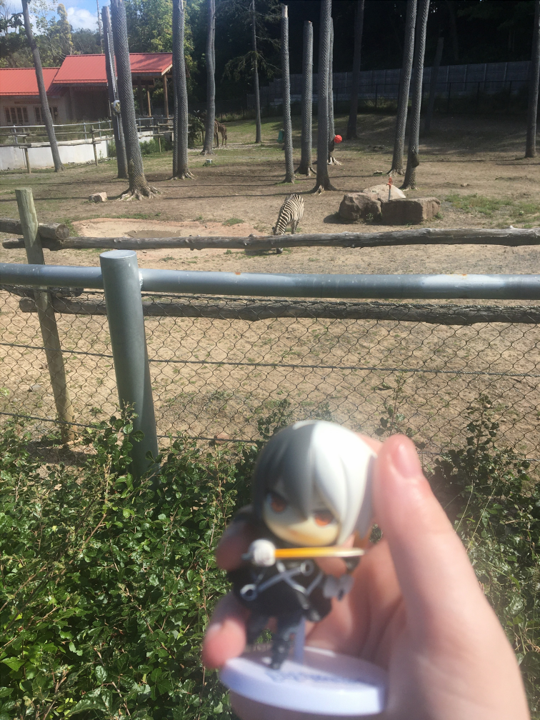 black encounters a zebra at the zoo. they have similar fashion senses!