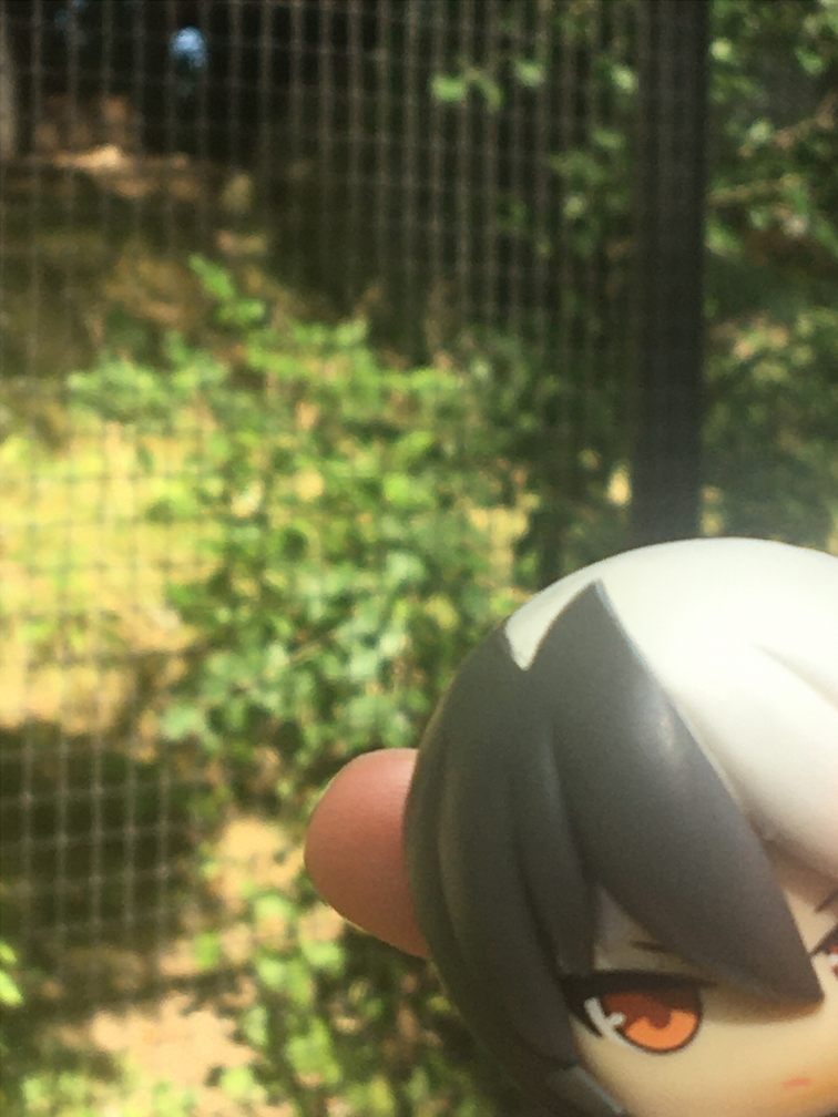 black experiences existential dread at the zoo