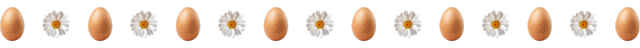 tumblr_043982a0098158239f67b0c2b9f61583_