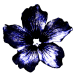 Flower pixel