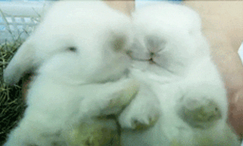 also me 2 you also me 2 you