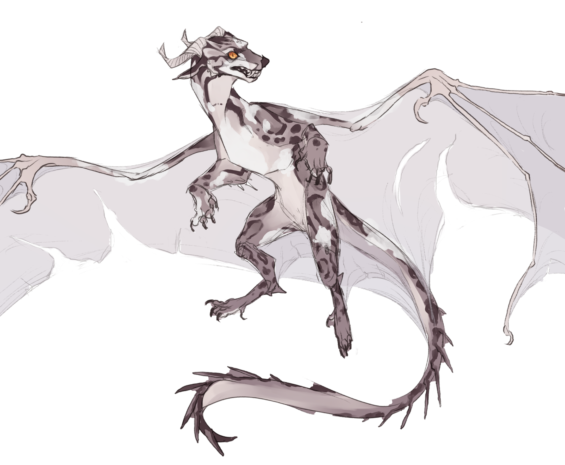 dragon law