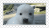 https://file.garden/Zx43761Z7kthgAhH/stamp.gif?v=1781092215229