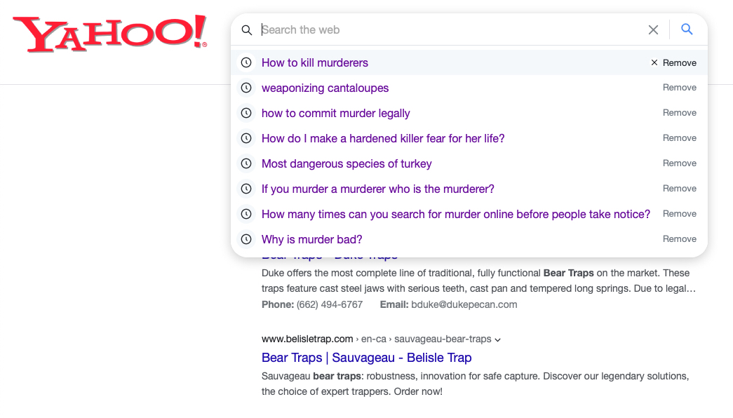A very questionable search history