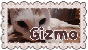 gizmo