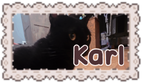 karl