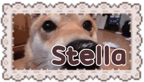 stella