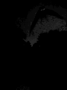 A photo of the cryptid, Mothman