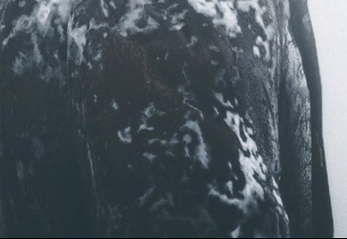 micah 3