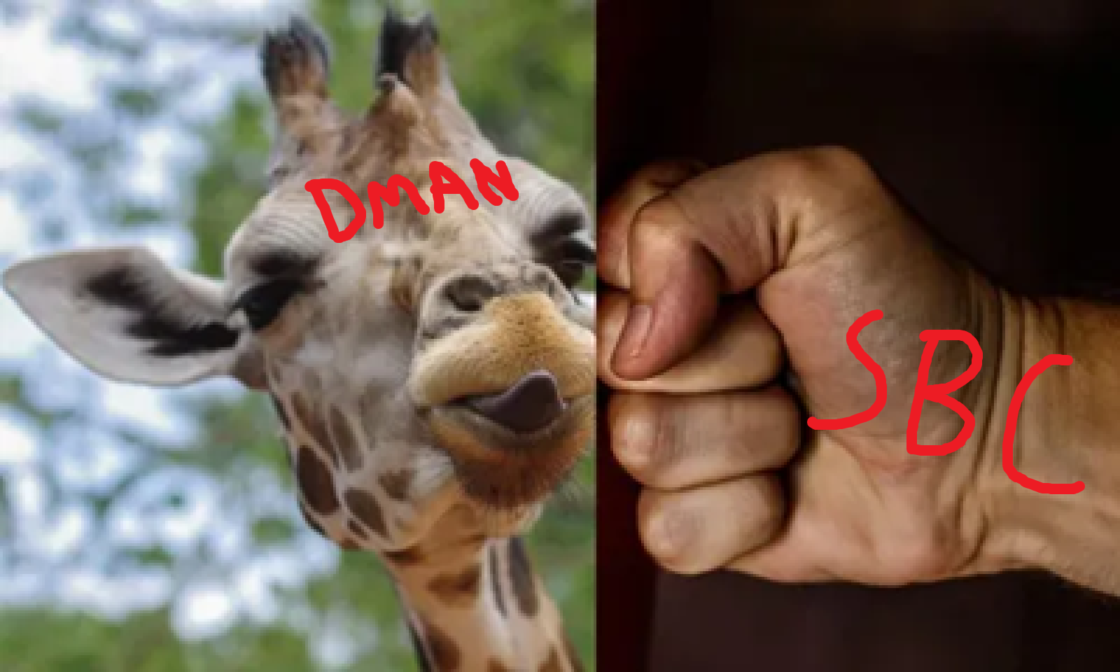 punchgiraffe.png