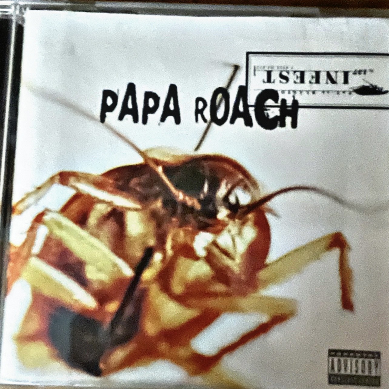 papa