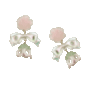 earrings???