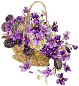 flower pot