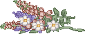 lay flower