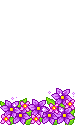 floatie flower