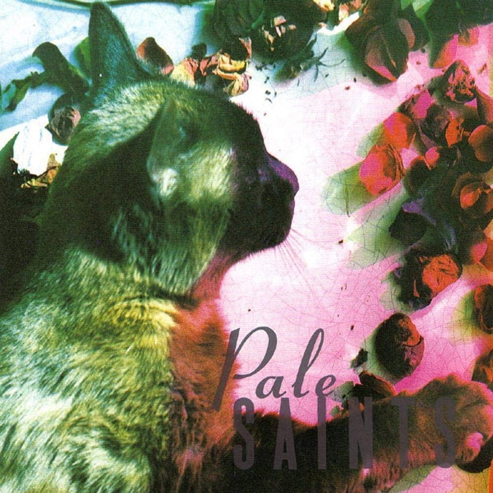 Pale Saints - The Comforts of Madness
