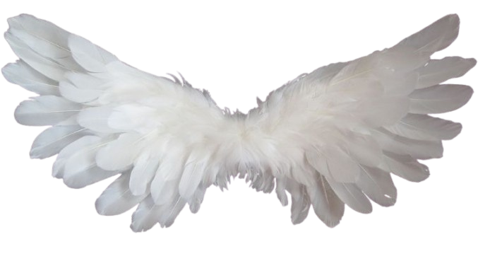 wings