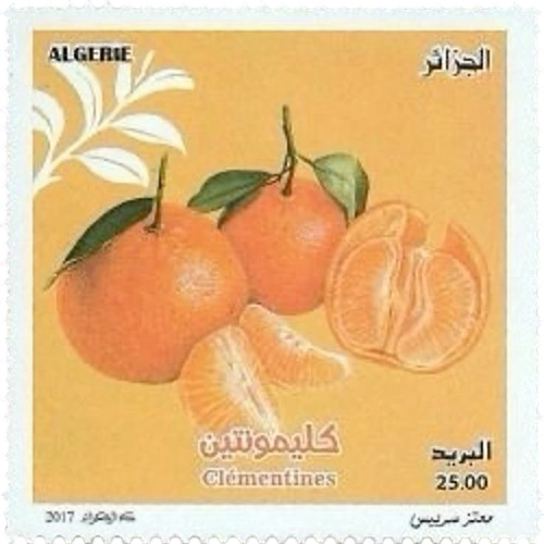 palestine oranges stamp