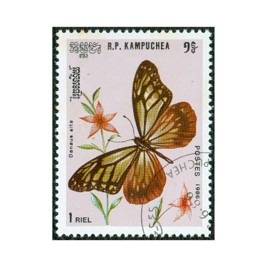 butterfly stamp
