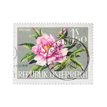 roses stamp