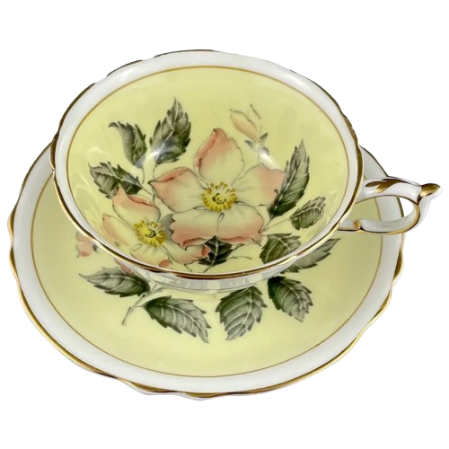 a teacup