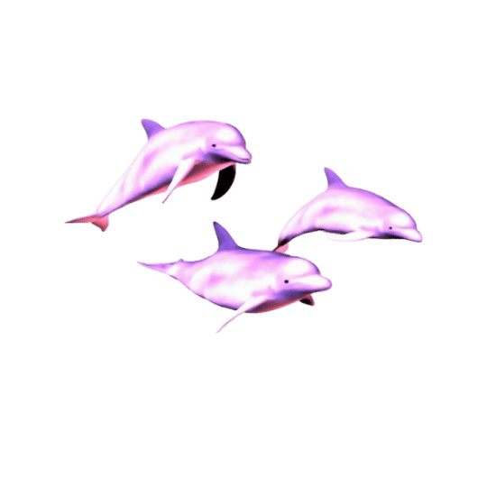 neon dolphins
