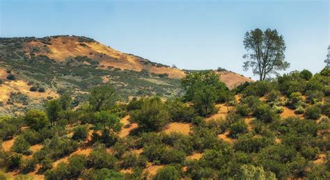 Chaparral hillsides