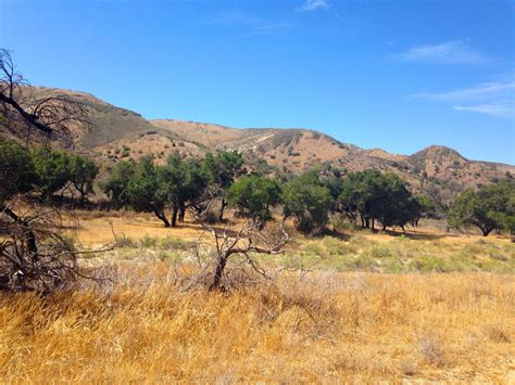 Chaparral grassland