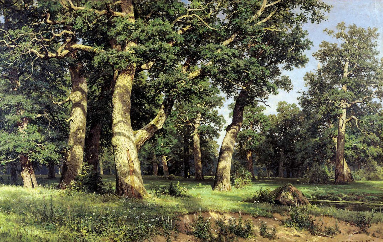 Oak Grove by Shishkin
