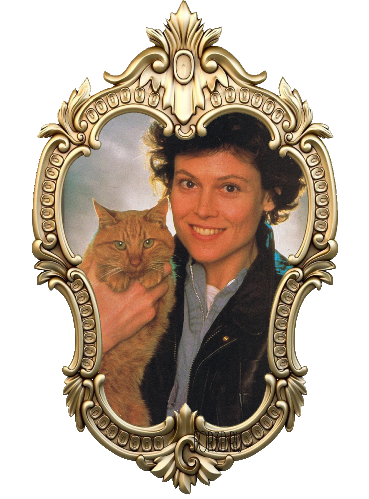 Ripley and Jonsey