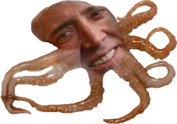 squid nik cage