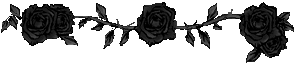 black roses