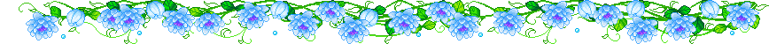 blue rose div